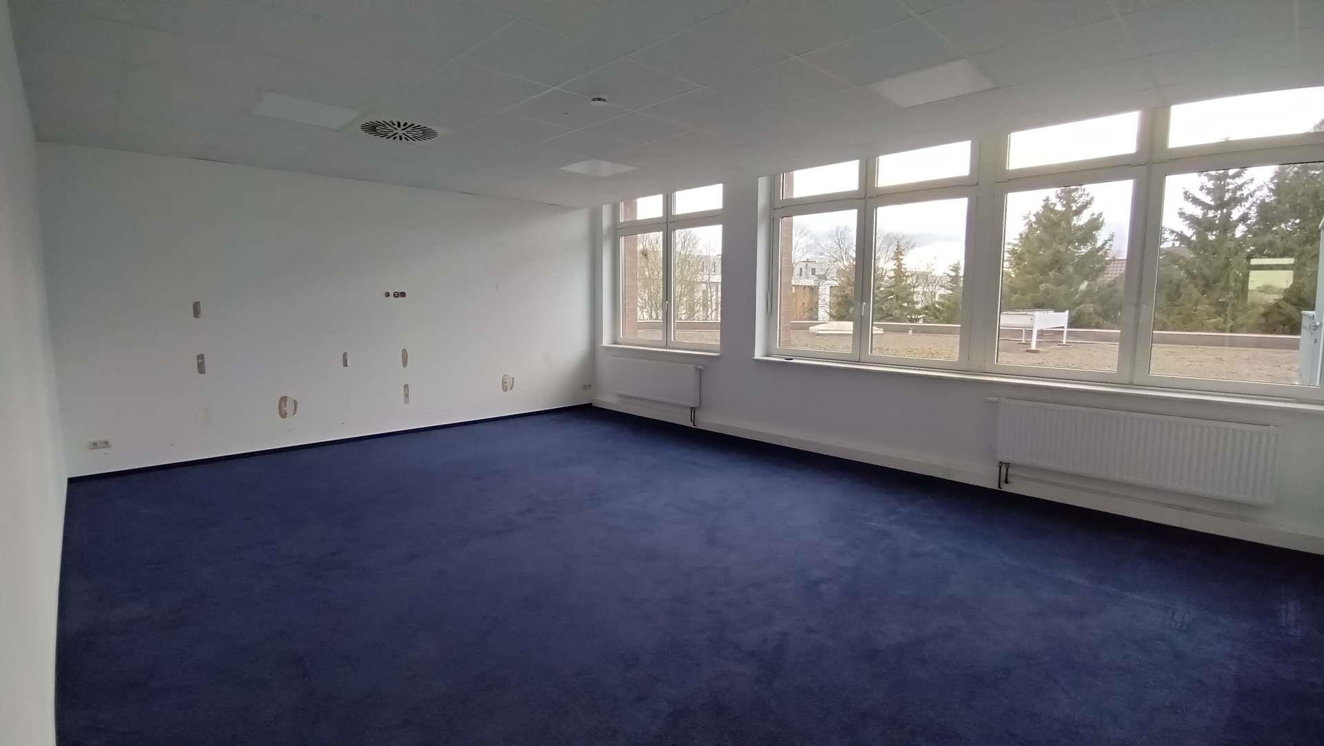 Einzelbüro mit blauem Teppichboden und Fensterfront